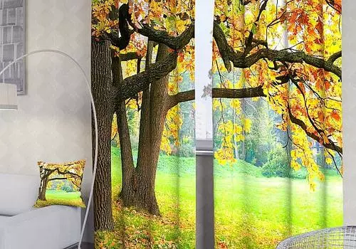 Осенний дуб