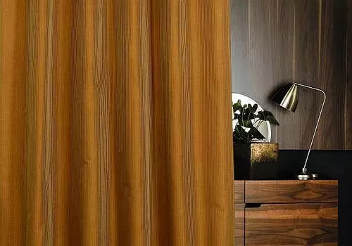 Рауа (сепия)