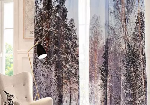 Сумерки в лесу