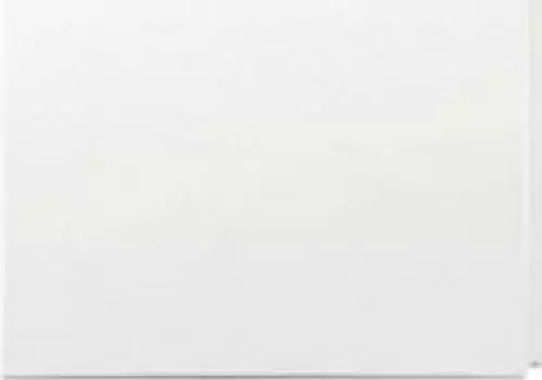 Боковая панель для ванны Ravak Evolution R 70 (170) CZ85100A00