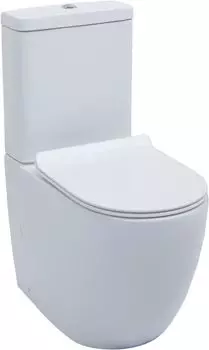 Чаша напольного унитаза Aquanet Cetus CETUS-C1 белый