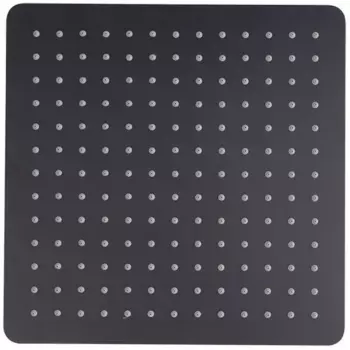 Душ верхний RamonSoler RK300NM черный