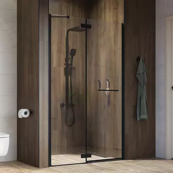 Душевая дверь в нишу 110x195 см Iddis Slide SLI6BH1i69, стекло прозрачное