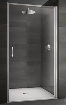 Душевая дверь в нишу Provex Look 2006 LN 05 GL 110 см
