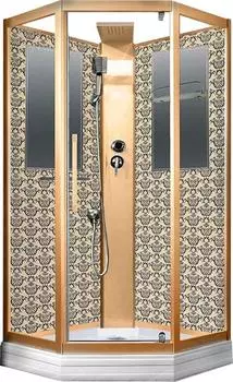 Душевая кабина Niagara Luxe 7717GBK 100х100х210 стекло прозрачное