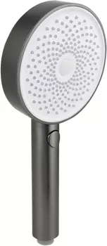 Душевая лейка Allen Brau Priority 5.31B20-MG графит браш