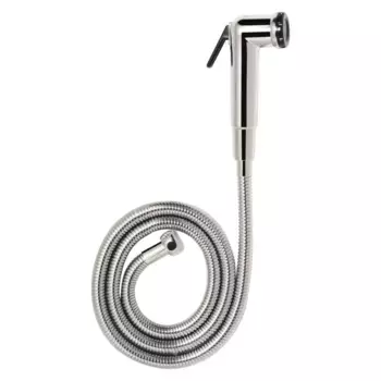 Душевая лейка GPD STS05 хром