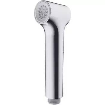 Душевая лейка Raglo R460.05 хром