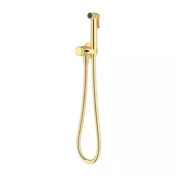 Душевая лейка Teska Touch BTK6701 золото