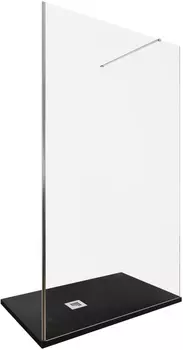 Душевая перегородка Allen Brau Infinity 1 120 3.21019.BA серебро браш