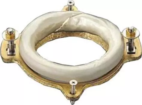 Фланец для унитаза TOTO Neorest AH T53WR100