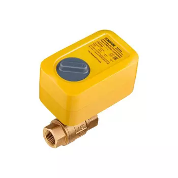 Электрокран Neptun Profi Special Edition 1419524