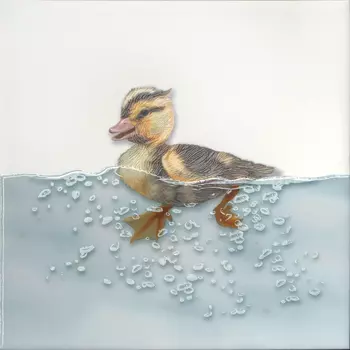 Керамическая плитка Kerama Marazzi Декор Чудо-озеро 3 20х20