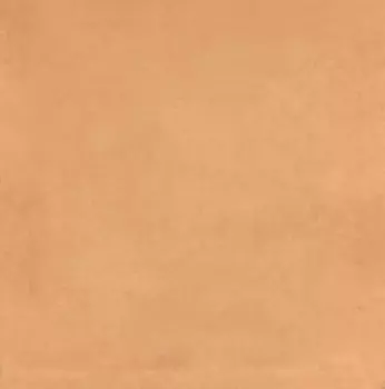 Керамическая плитка Kerama Marazzi Капри оранжевый глянцевый 20х20