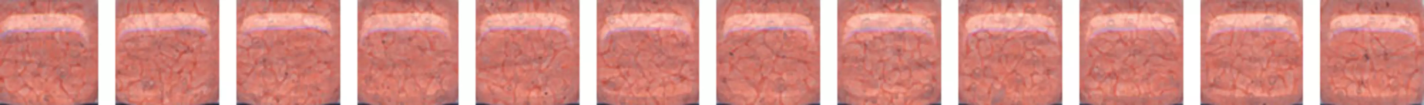 Керамическая плитка Kerama Marazzi Карандаш Бисер коралловый глянцевый 20х1,4