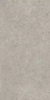 Керамогранит Kerama Marazzi Риккарди серый светлый матовый обрезной 60х119,5