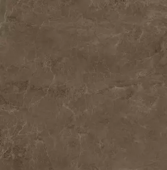 Керамогранит Kerama Marazzi SG650222R Гран-Виа коричневый светлый лаппатированный обрезной 60х60