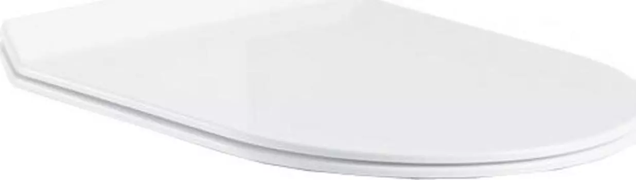 Крышка-сиденье BelBagno Deluca BB2011SC с микролифтом