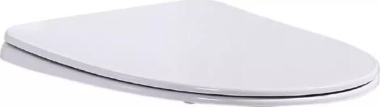 Крышка-сиденье BelBagno Steam BB130SC с микролифтом, петли хром