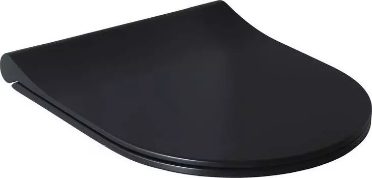 Крышка-сиденье для унитаза Allen Brau Priority 4.31004.31 с микролифтом, черный матовый