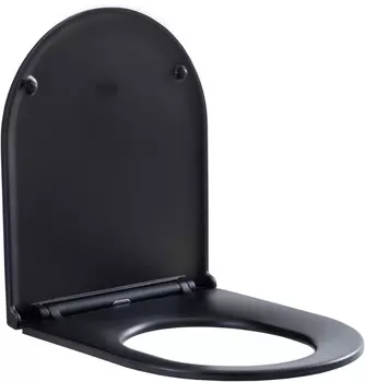 Крышка-сиденье для унитаза Aquanet Lake 00316466 черный