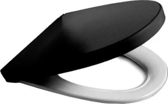 Крышка-сиденье для унитаза Roca Victoria Nord ZRU9000101