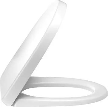 Крышка-сиденье Jacob Delafon Odeon Up E70011-00 с микролифтом петли хром