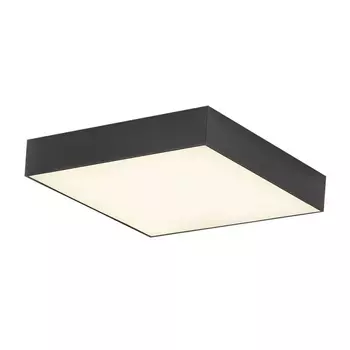 Накладной светодиодный светильник Citilux Тао CL712X242N