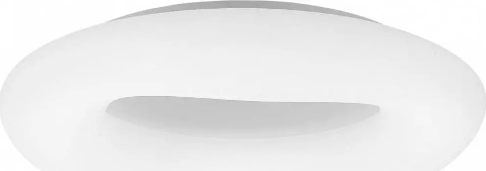 Накладные светильники Citilux Стратус Смарт CL732A800G