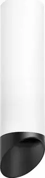Накладные светильники Lightstar Rullo 2 R649687