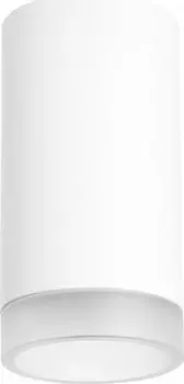 Накладные светильники Lightstar Rullo R43630