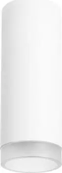 Накладные светильники Lightstar Rullo R48630