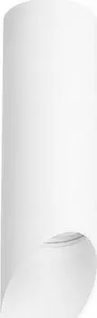 Накладные светильники Lightstar Rullo R48636
