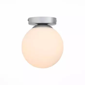 Настенно-потолочный светильник Evoluce Acini SL717.501.01