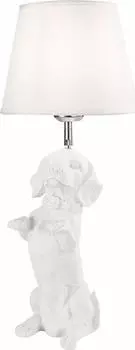 Настольная лампа Evoluce Narni SLE115214-01