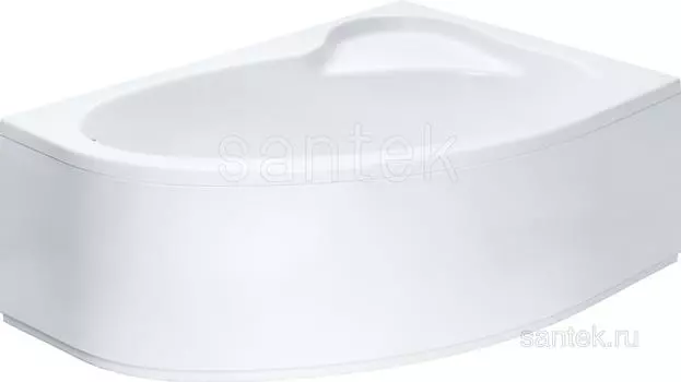 Панель фронтальная для акриловой ванны Эдера 170х100 R 1WH501665 Santek