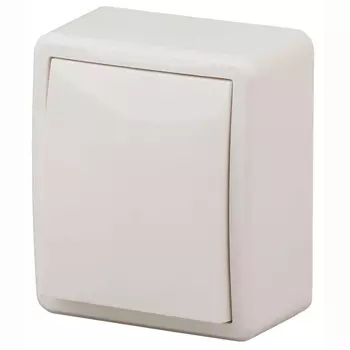 Переключатель одноклавишный ЭРА Эксперт 10AX 250V 11-1203-02 Б0020661