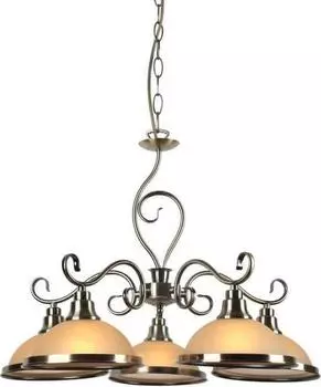 Подвесная люстра Arte Lamp Safari A6905LM-5AB