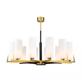 Подвесная люстра Favourite Maximo 2623-12P