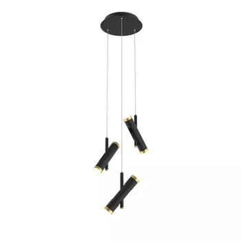 Подвесная светодиодная люстра Favourite Duplex 2324-6P