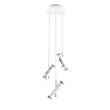 Подвесная светодиодная люстра Favourite Duplex 2325-6P