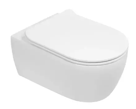 Подвесной безободковый унитаз SSWW CT2039V, крышка-сиденье с микролифтом, белый глянцевый