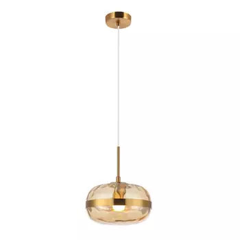 Подвесной светильник Aployt Gabriela APL.305.16.01