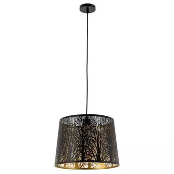Подвесной светильник Arte Lamp Celesta A2769SP-1BK