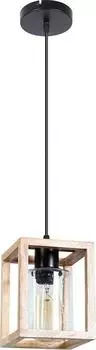 Подвесной светильник Arte Lamp Dublin A7025SP-1BK