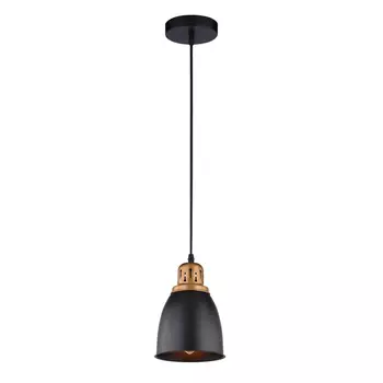 Подвесной светильник Arte Lamp Eurica A4248SP-1BK