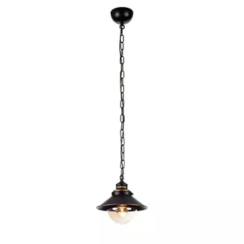 Подвесной светильник Arte Lamp Grazioso A4577SP-1CK