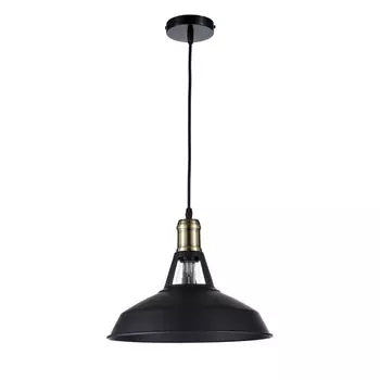 Подвесной светильник Arti Lampadari Faustino E 1.3.P1 B