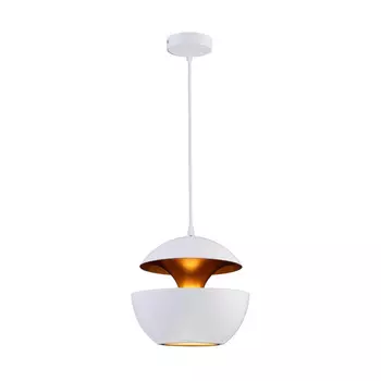 Подвесной светильник Loft IT Apple LOFT2213-A