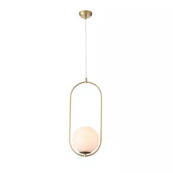 Подвесной светильник ST Luce Penolo SL1118.203.01